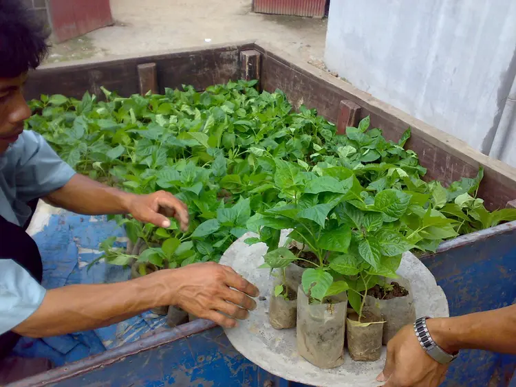 Women self help group, making things happenning