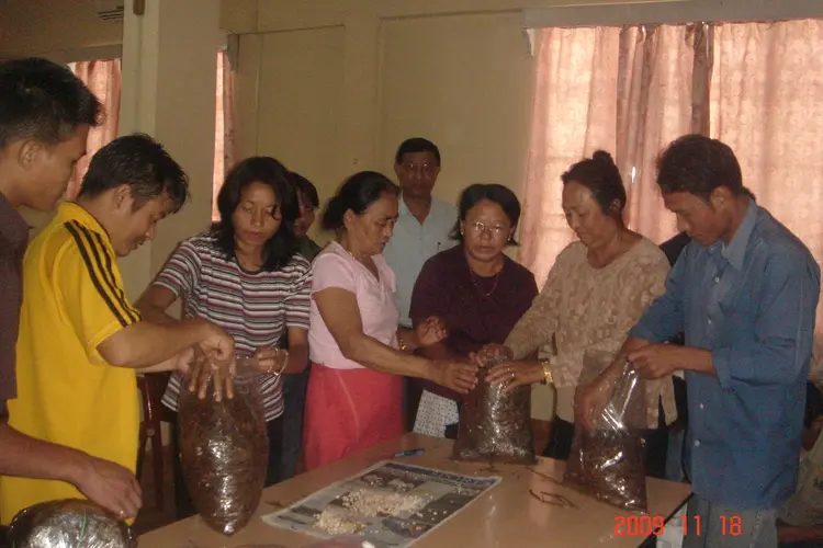 heralding women self help group 